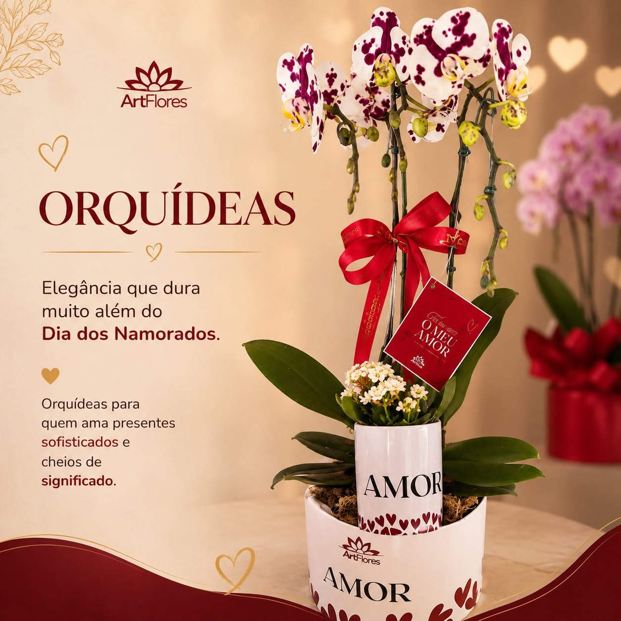 Orquídea Elegância